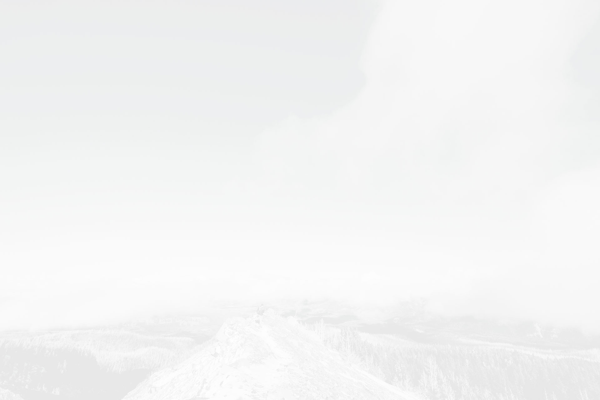 web design solutions belfast