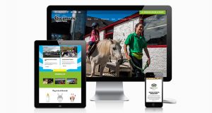 Streamvale Farm Website