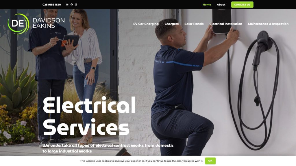 davidsoneakins website design belfast