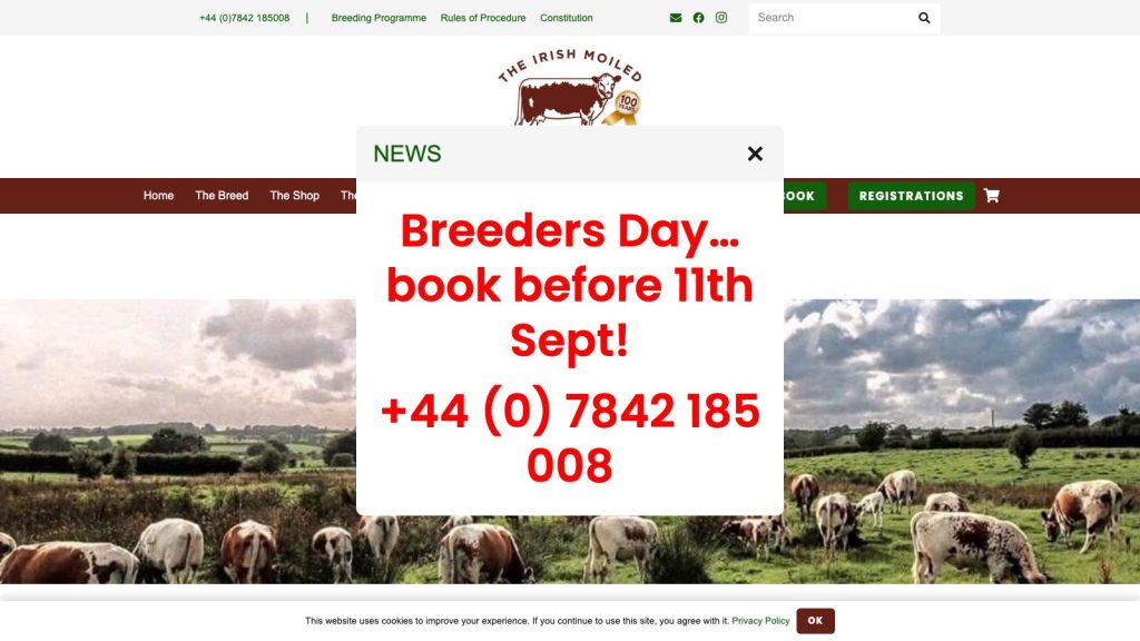 irishmoiledcattlesociety website design belfast