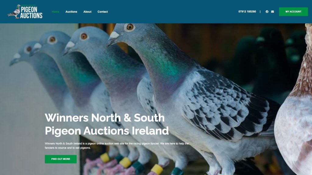 nspigeonauctions website design belfast