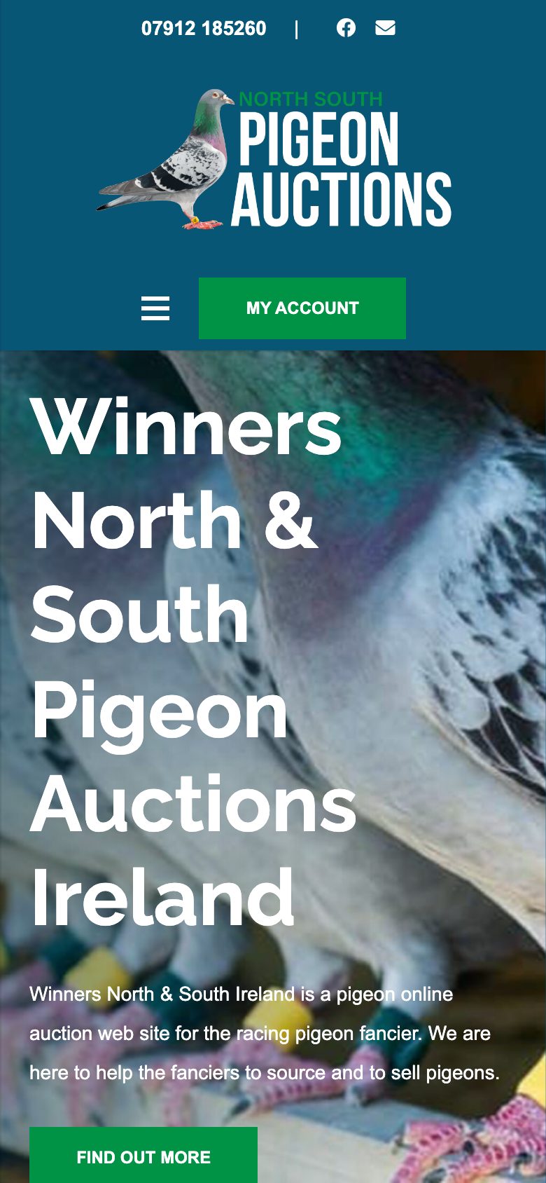 NS Pigeon Auctions website on mobile, designed by Web Design Belfast