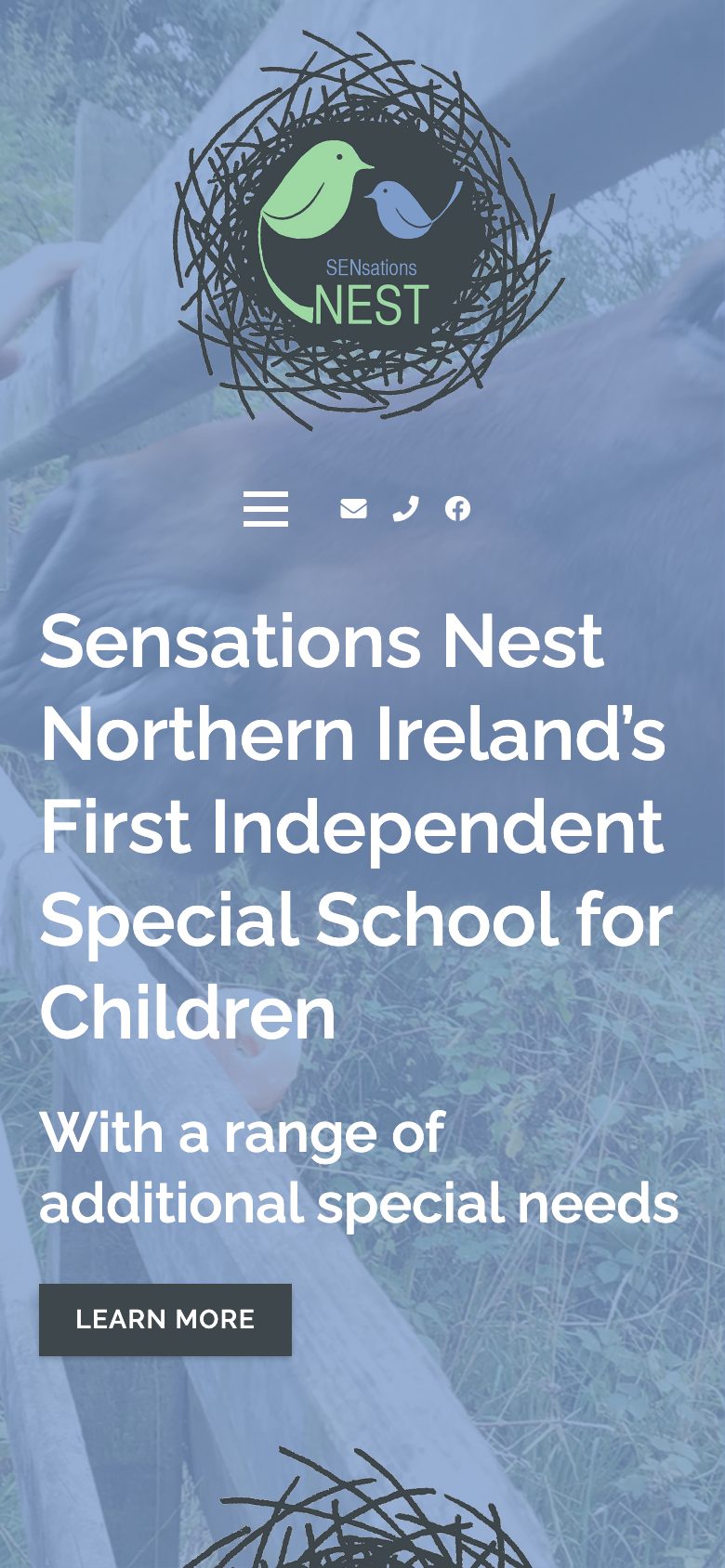 Sensations Nest website on mobile, designed by Web Design Belfast